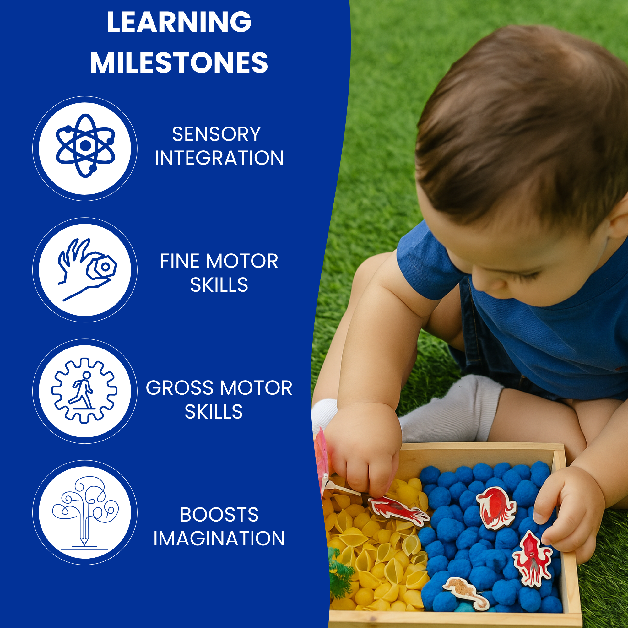 The Under Water World